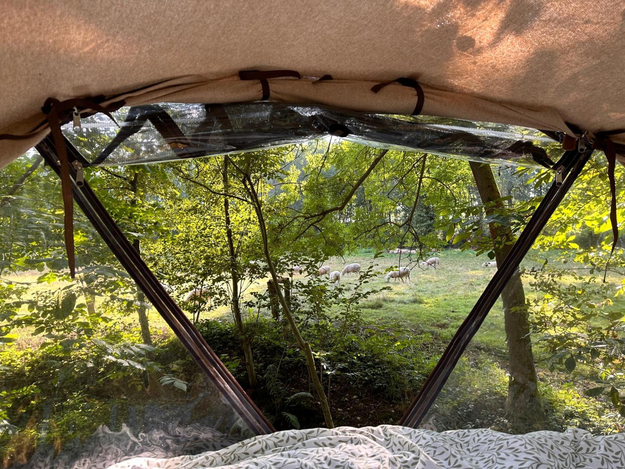 Bublina Luxury tent